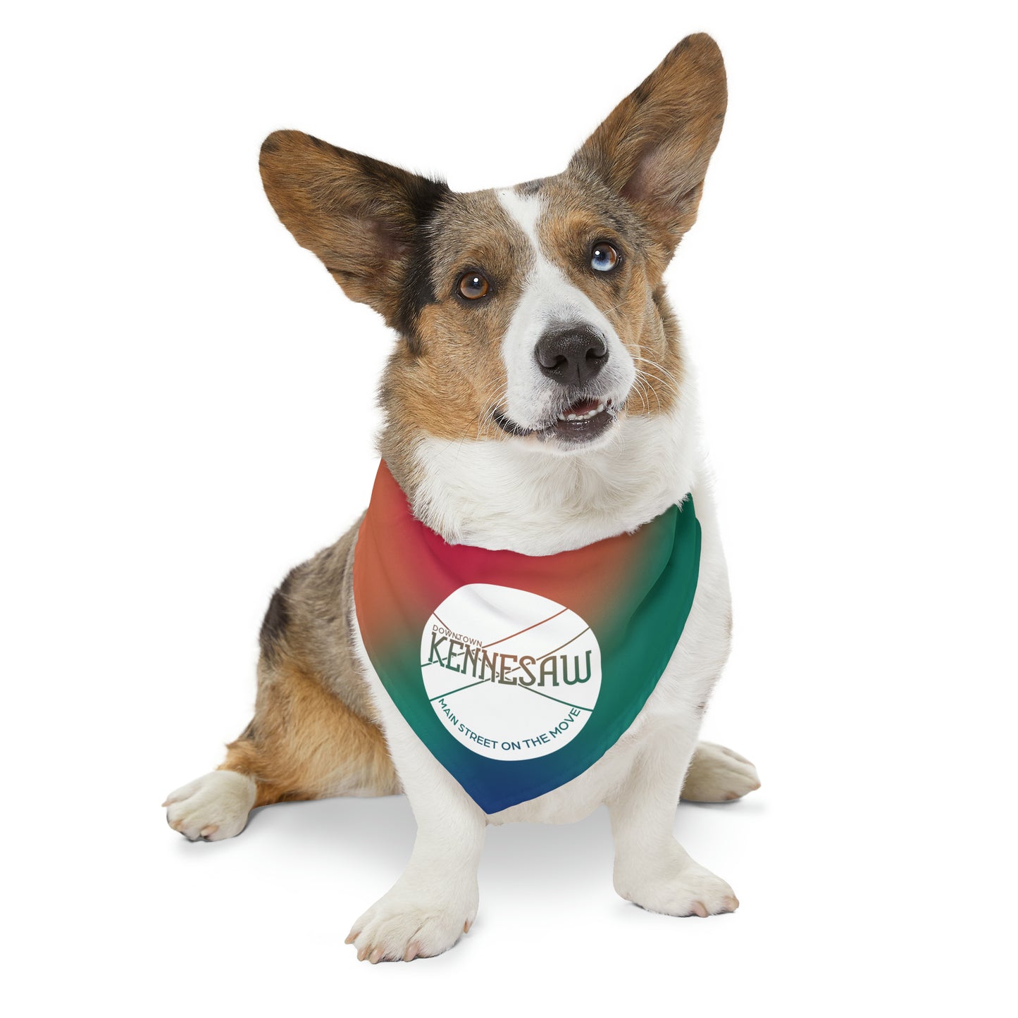Pet Bandana with Collar - Original Collection